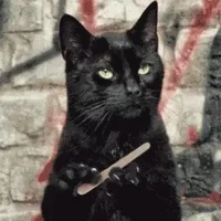 auteur 