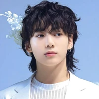 Han Jungkook [Omega]