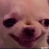 that one bitch of class 