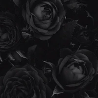 Nyxen