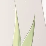 แอด