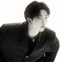 kim namjoon(alpha)