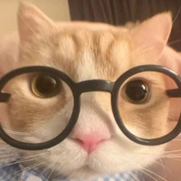 แอดดดด
