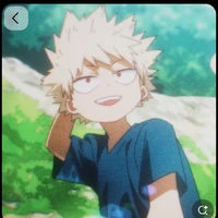 katsuki bakugo [D.P]