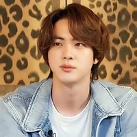 kim seokjin
