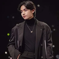 kim vincent (v) engima