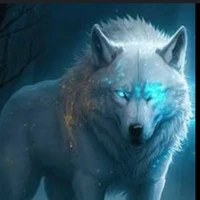 Kiara the wolf