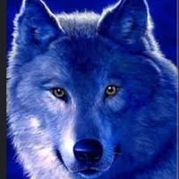 lobo de alex