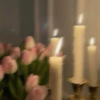 Author Mouna 🌕✨