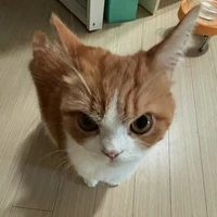นักเขียน