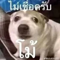 แอดเองง