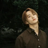 jung mark