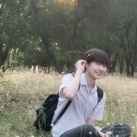 แสงเหนือ (น. อ)