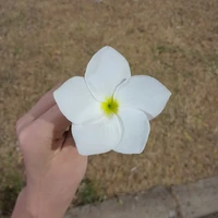 Autora 