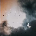 God