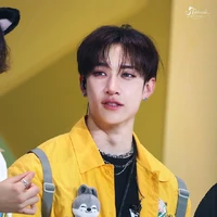 Bangchan 🐺