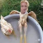 autora 🍥