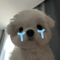 เรื่อยเปื่อย😔