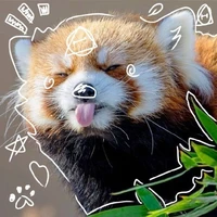 𝐸𝑢𝑧𝑖𝑛ℎ𝑎 (𝑮𝒂𝒃𝒚)