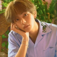 Kim Taehyung(Vin)/Orè