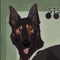 cachorro desconhecido