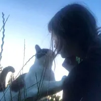 Evie-con ~ author