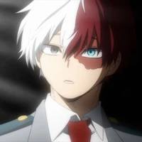 Shoto Todoroki