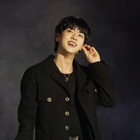 Seokjin ( Idol, wwh Hyung of jk