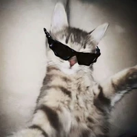 J.K Meowlings