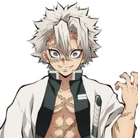 ชินาซึกาวะ ซาเนมิ(กวนถีน+เสาหลัก)