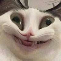 แอดเองงงงง