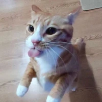 Soonie