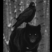 Wolfy