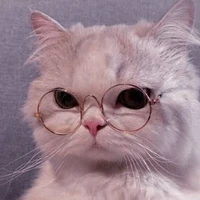 แอดเอง😘