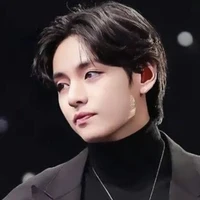 AGENT V (KTH)