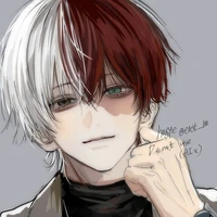 Shoto Todoroki (O.24)
