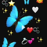 Le coeur noir (autrice )