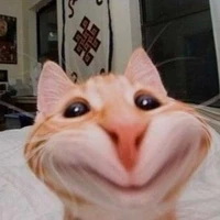 แอ่ดแอดเองงับ