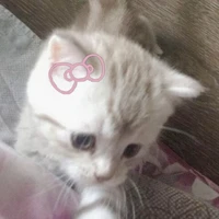 มุ้งมิ้งงง