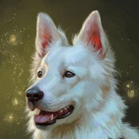 🐺 Poppy 🐺