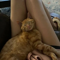 คนโปรด