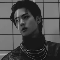 Kim Seokjin (Leader)