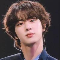 Kim Seok jin /mother of Tae/Ø