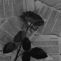 𝙰𝚞𝚝𝚑𝚘𝚛 💫