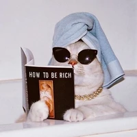 Your author 