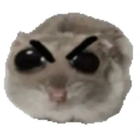 แอดแฮมเตอร์