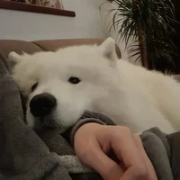 แอดที่ชอบเกย์