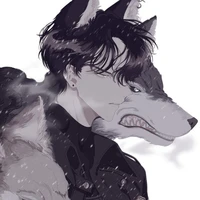 Storm (Wolf)