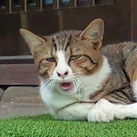 แอดเองที่ไม่ค่อยอัพ