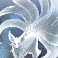 biju 9 ekor (kurami)